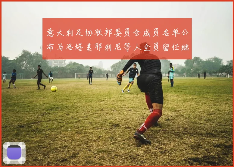 意大利足协联邦委员会成员名单公布马洛塔基耶利尼等人全员留任继续服务