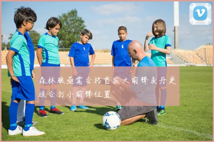 森林狼亟需合格首发大前锋麦丹更适合打小前锋位置