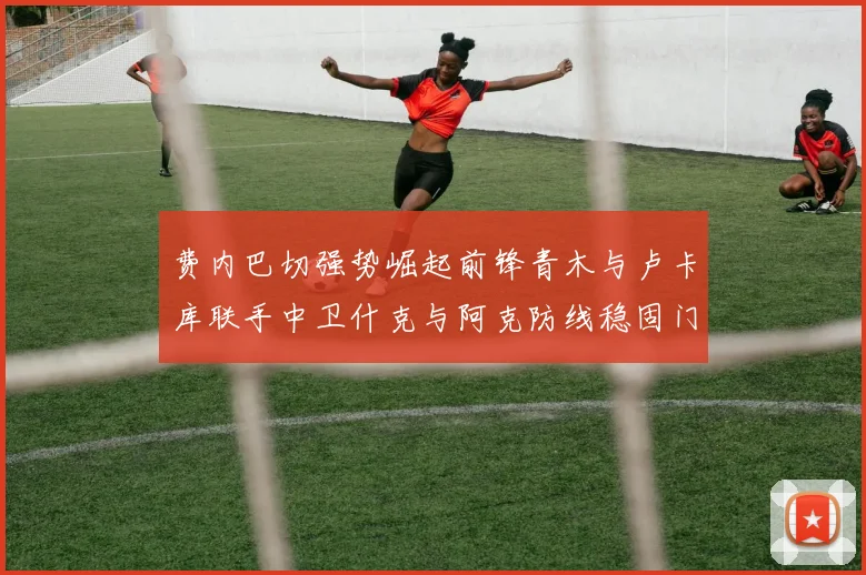 费内巴切强势崛起前锋青木与卢卡库联手中卫什克与阿克防线稳固门将埃德松实力不容小觑